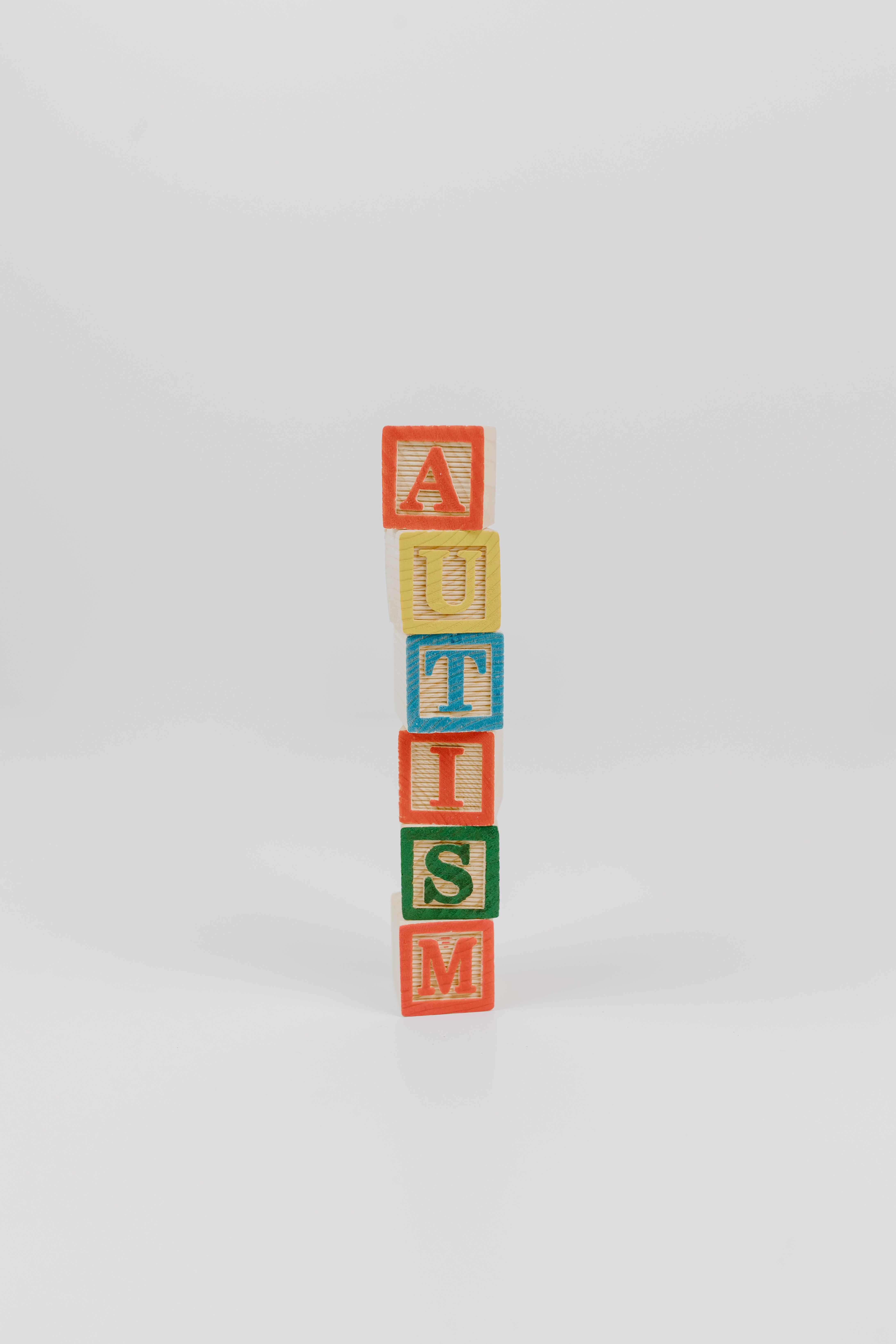 Image for Understanding Autism: A Guide for Caregivers